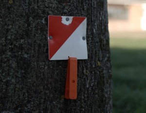 teaching-orienteering