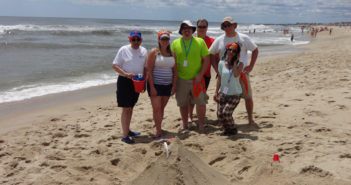Sand Trap